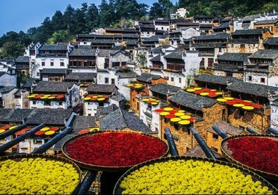 篁嶺曬秋 江西婺源旅游新招牌的魅力與影響